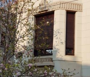 jaluzele din lemn imaginea 7 (anul 2019)