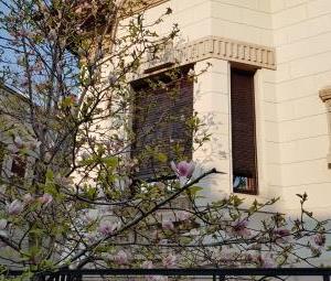 jaluzele din lemn imaginea 9 (anul 2019)